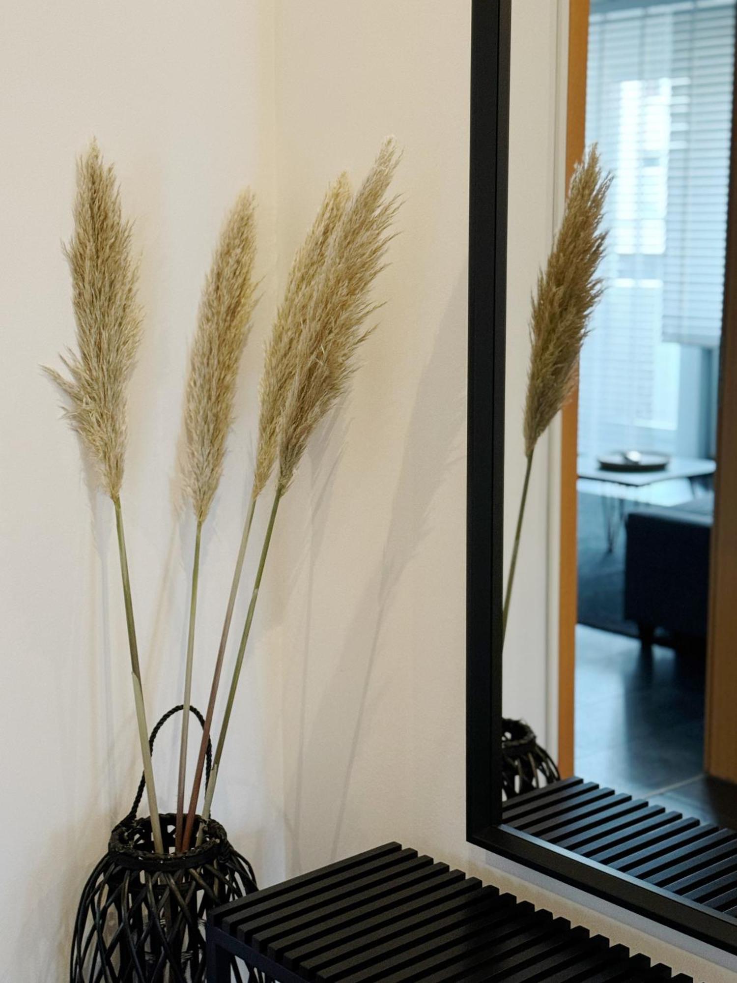 90M2 I Central I Netflix I Wifi I Free Parking I Lia Apartments Hannover Eksteriør bilde